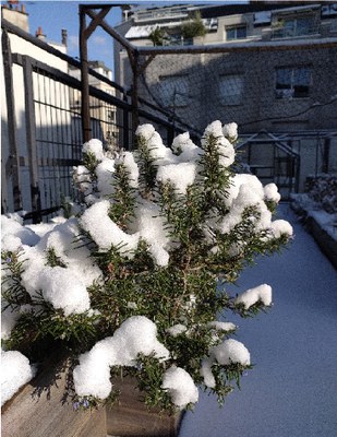 26 02 01 FB terrasse enneigée